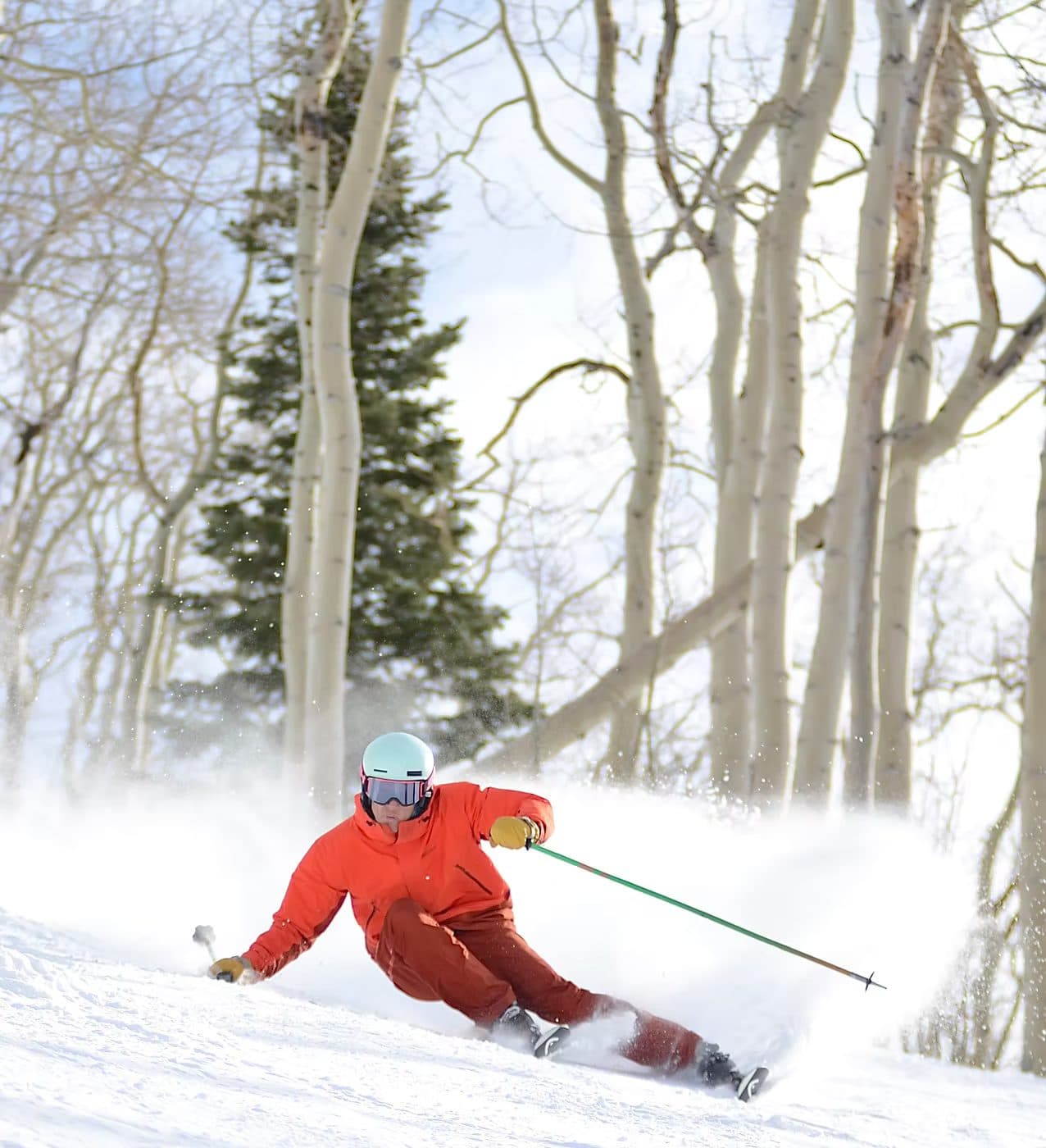 Skier carving through powder snow among aspen trees in Steamboat Springs